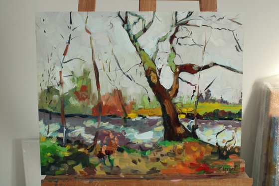 Impressionist nature landscape "This tree by the water"