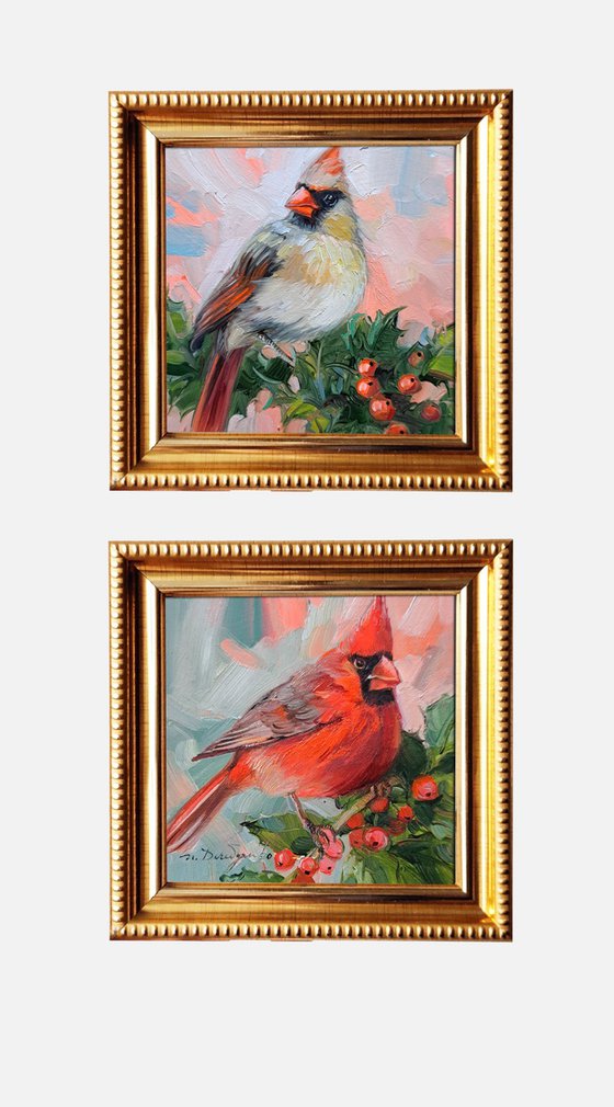 Cardinal bird