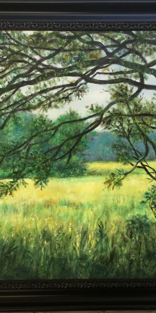 JUNE PASTURE by Kathleen McDermott