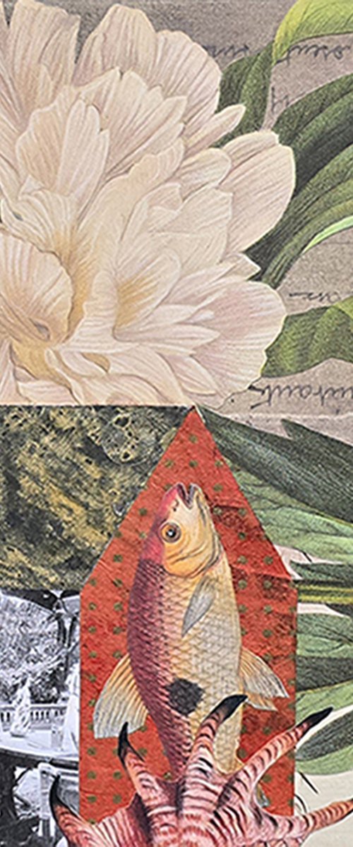 Paeonia de Milo by Susan Savory