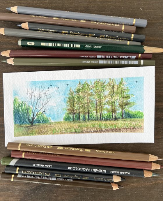 At the edge of the forest. Miniature forest landscape. Original artwork.