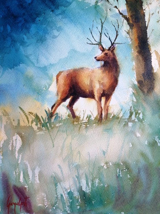 deer 8