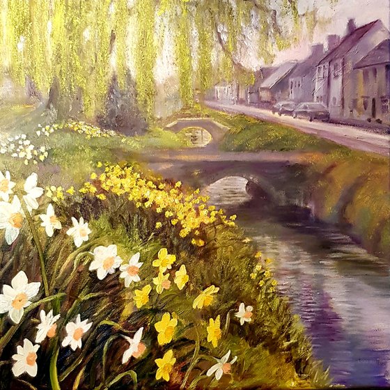 Daffodils, Clanfield