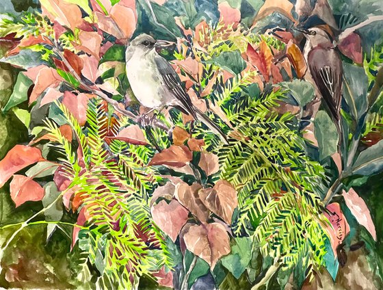 Mockingbirds in the forest