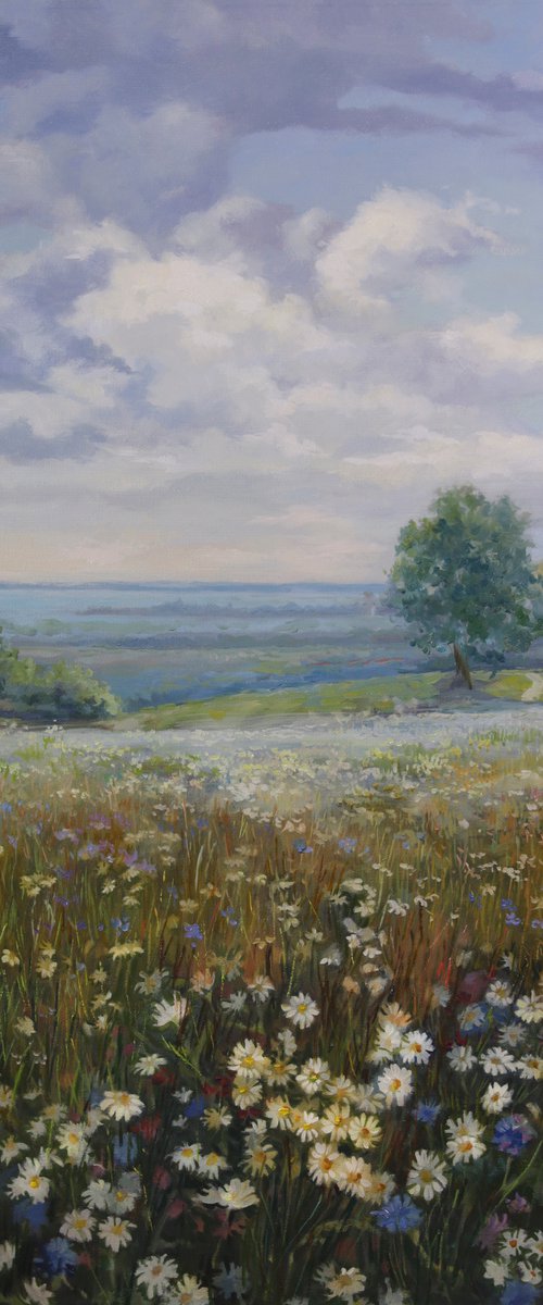 Field of flowers by Eduard Panov