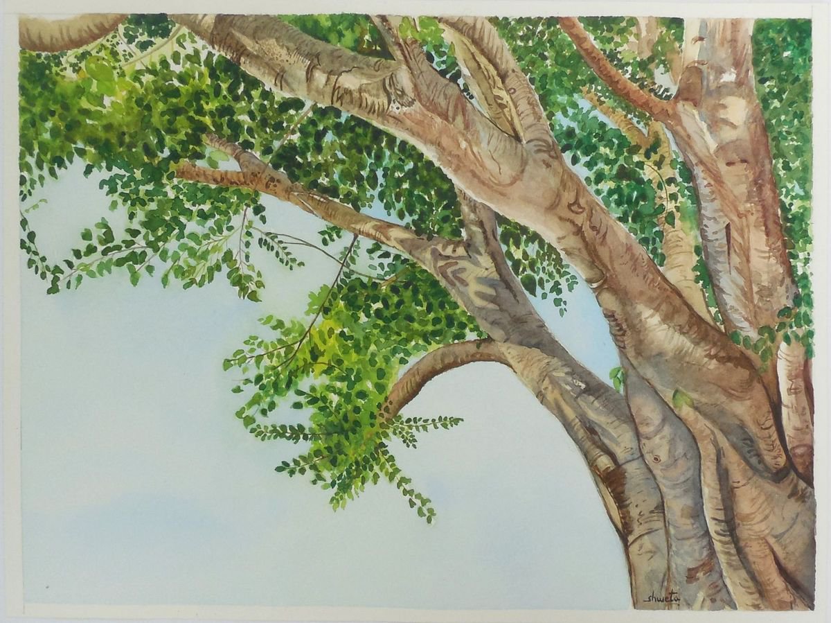 Sacred Fig Tree Painting by Shweta  Mahajan