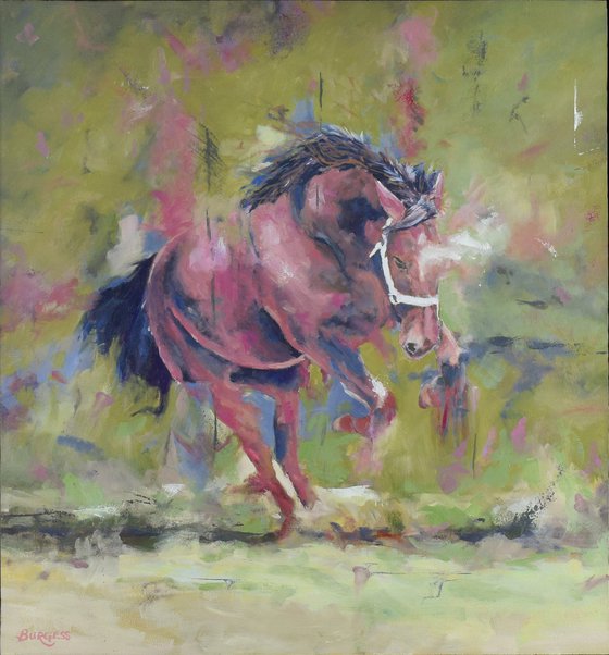 Defiance - Framed Horse Oil Painting 20" x 21"