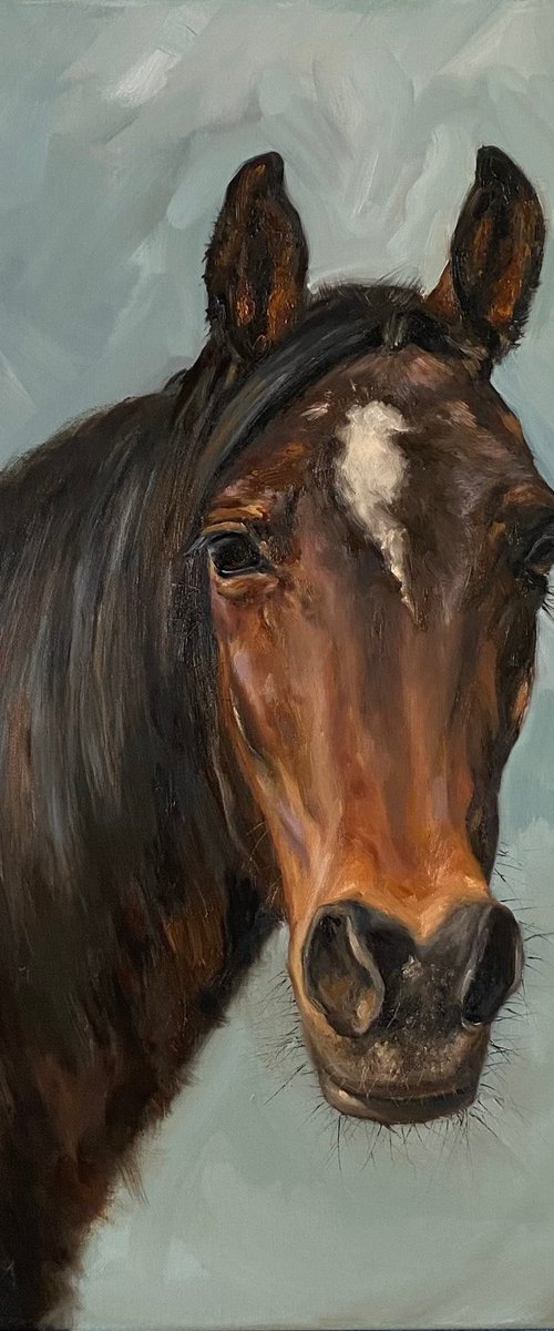 Portrait of a horse by Maria Vasilevich