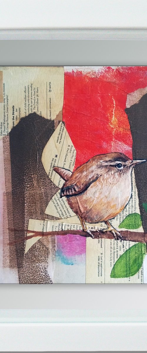 Wren - Ornithology#3 by Carolynne Coulson