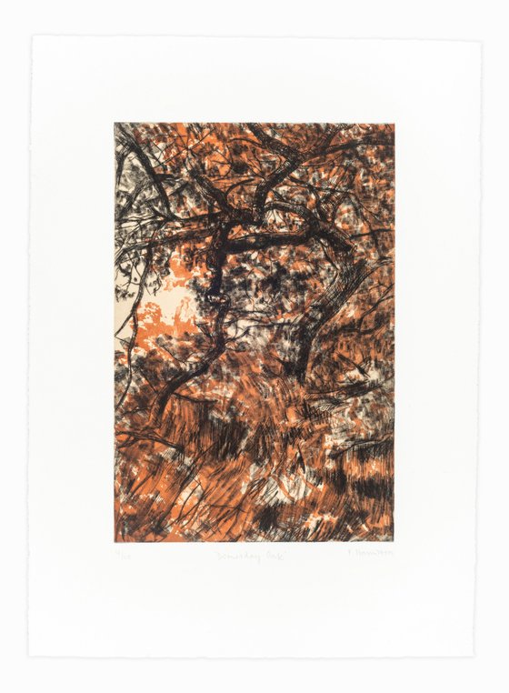 Domesday Oak