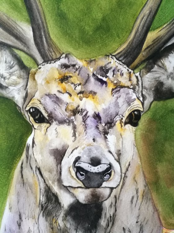 Dignified Being. Watercolour Stag Painting on Paper. 42cm x 59.4cm. Free Shipping