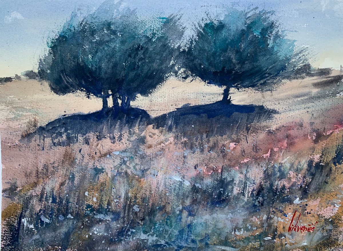 Two olive trees by Tihomir Cirkvencic