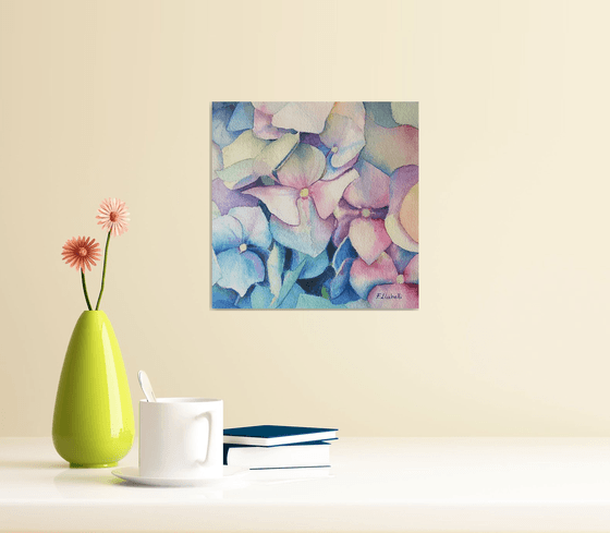 Hydrangea n.5