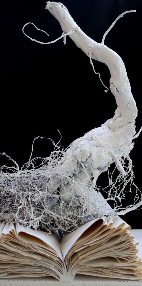 Of strength and fragility by Francesca Candito