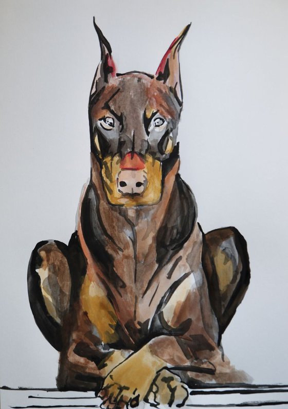 Doberman / 42 x 29.7 cm