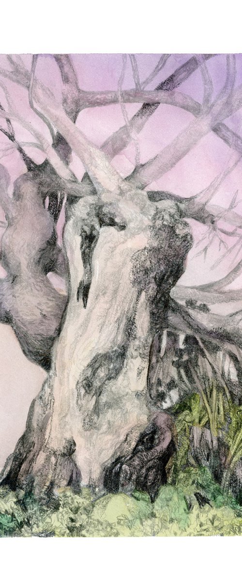 An Ancient Heart by Dena Adams