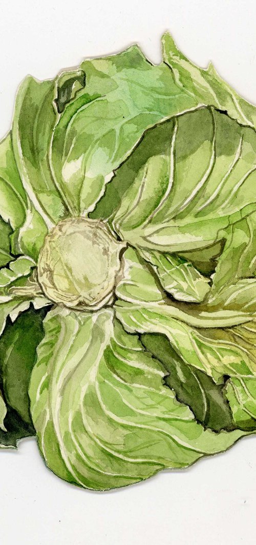 pink cyclaman with stamp by Alfred Ng