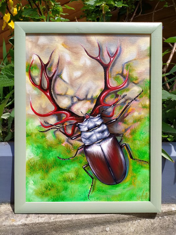 Deer or Beetle