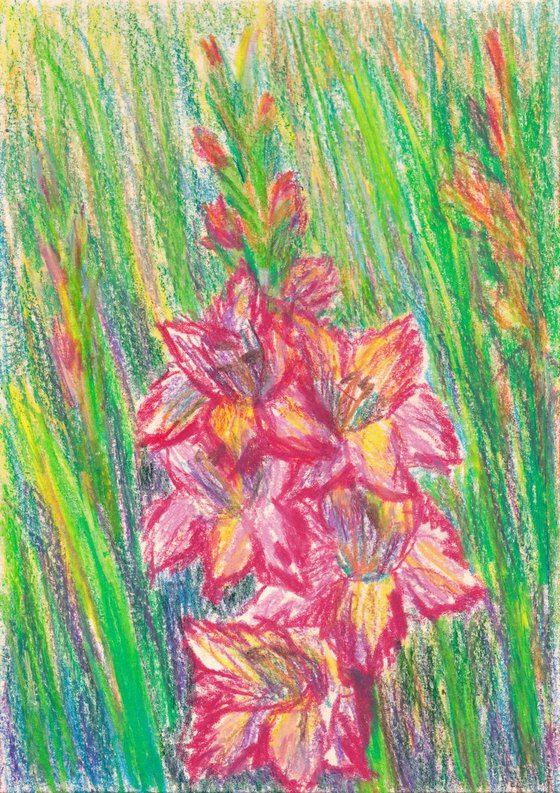 Gladiolus Flowers, 2018, oil pastel on paper, 29.5 x 21 cm