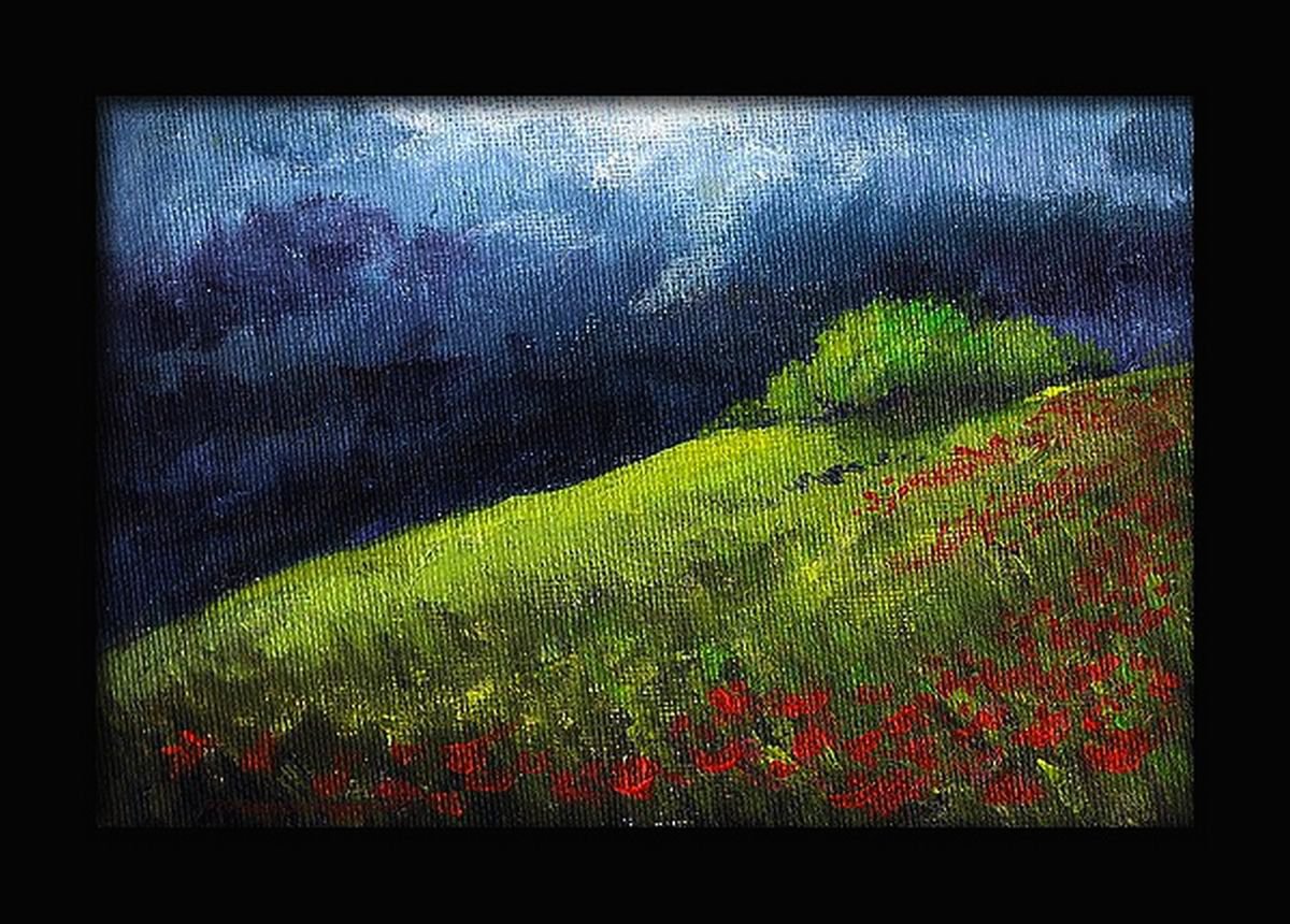Miniature - Rain clouds over the fields - Poppy fields 4x 6 by Asha Shenoy