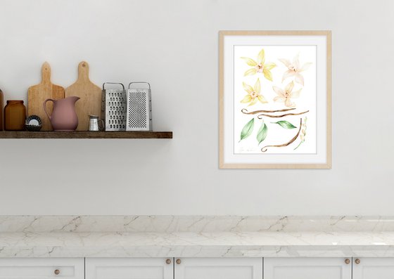 Vanilla Botanical Art