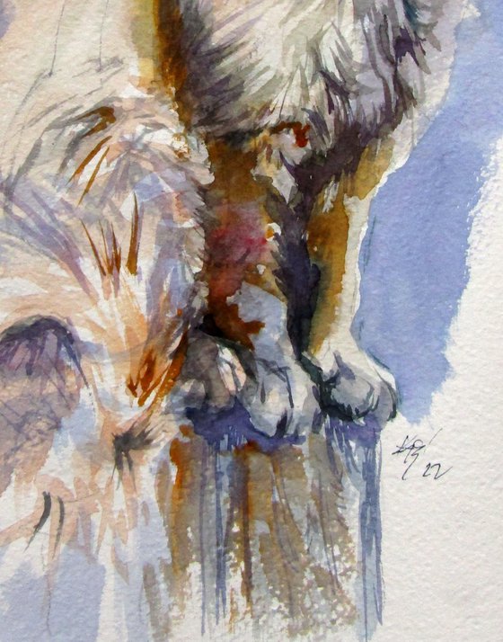 Sitting cat II