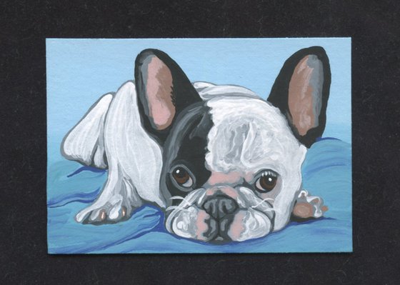 ACEO ATC Original Miniature Painting  French Bulldog Pet Dog Art-Carla Smale