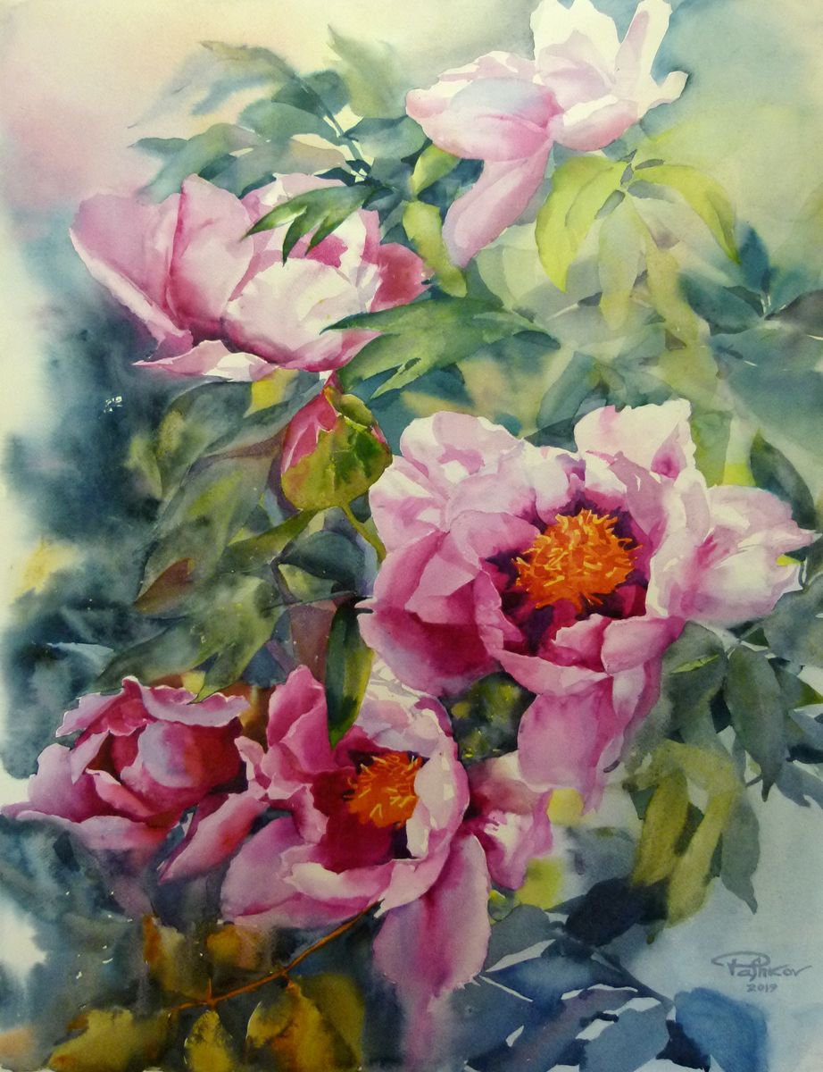 Impressionistic Botanical Watercolour By Yurii Pashkov, 22 X 30", Pink Peonies#3, Original Artwork
