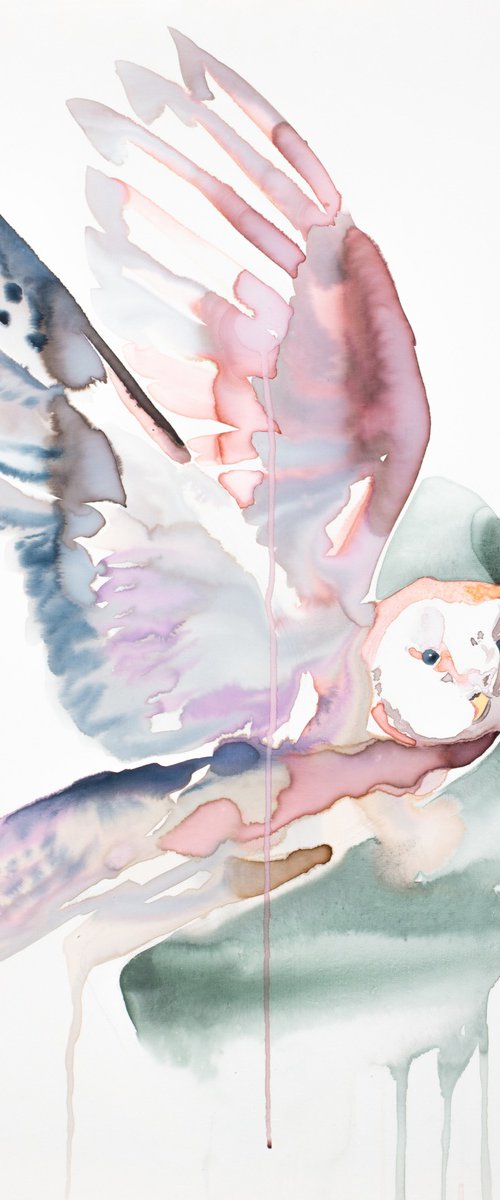 Flying Owl by Elizabeth Becker