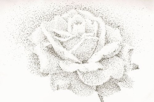 Rose by Michèle Decouvreur