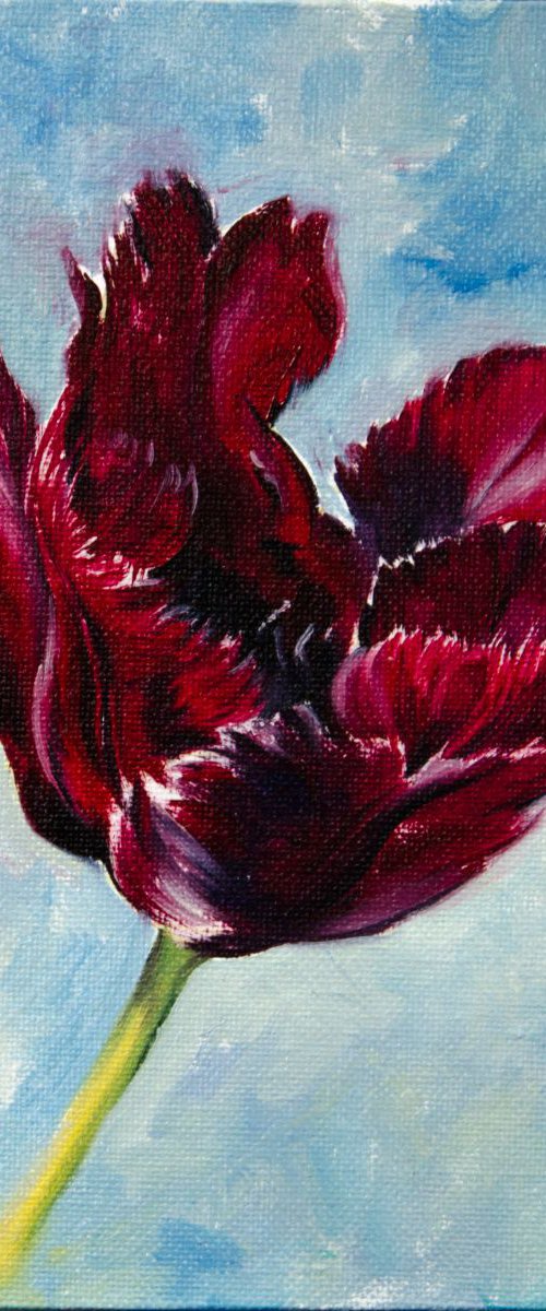 The tulip by Daria Galinski