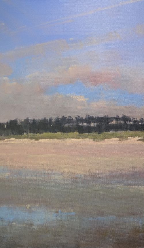 SALE PRICE Holkham trees afternoon light by Tom Cringle
