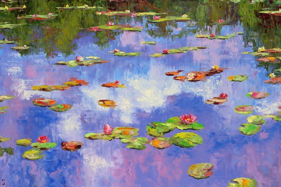 Dance Of The Waterlilies