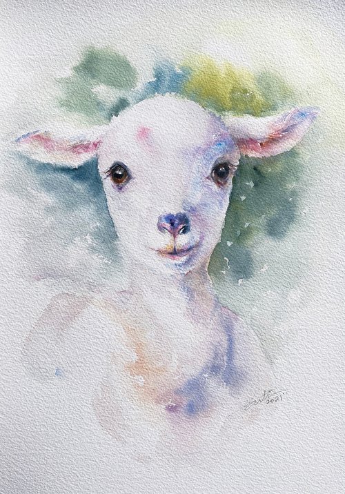 Dazzle the lamb by Arti Chauhan