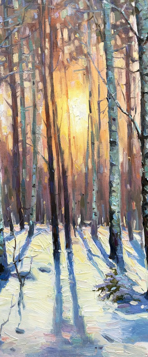 Winter forest. Birches by Vladimir Lutsevich