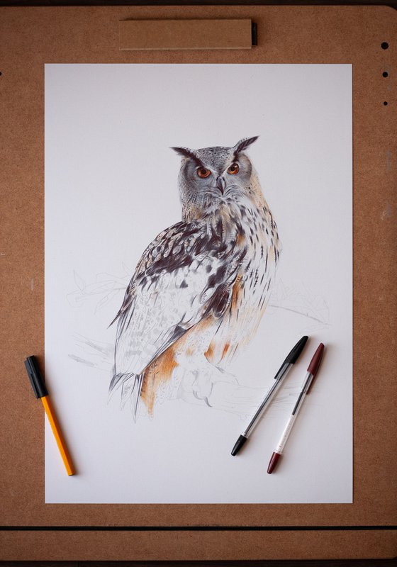 Eurasian Eagle-owl