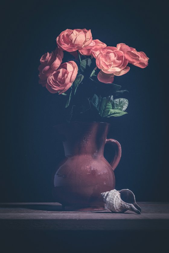 Flowers and Shell