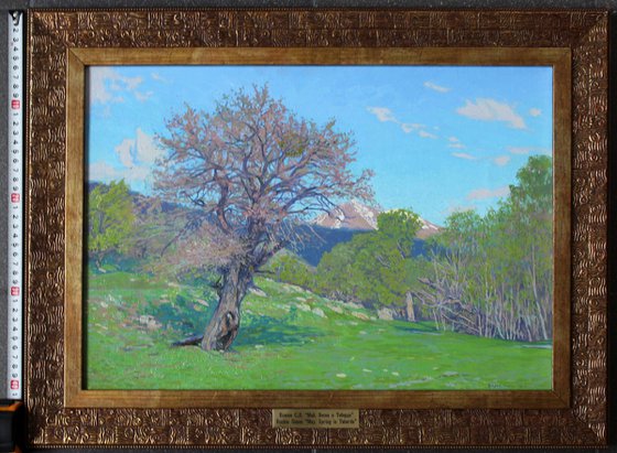May. Spring in Teberda