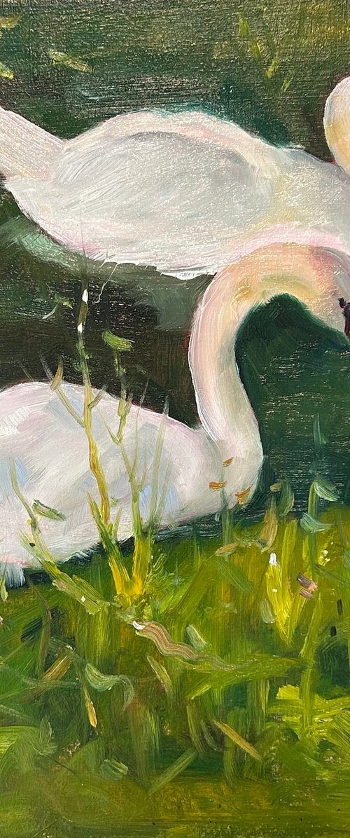 Cob and Pen by Robert Wells