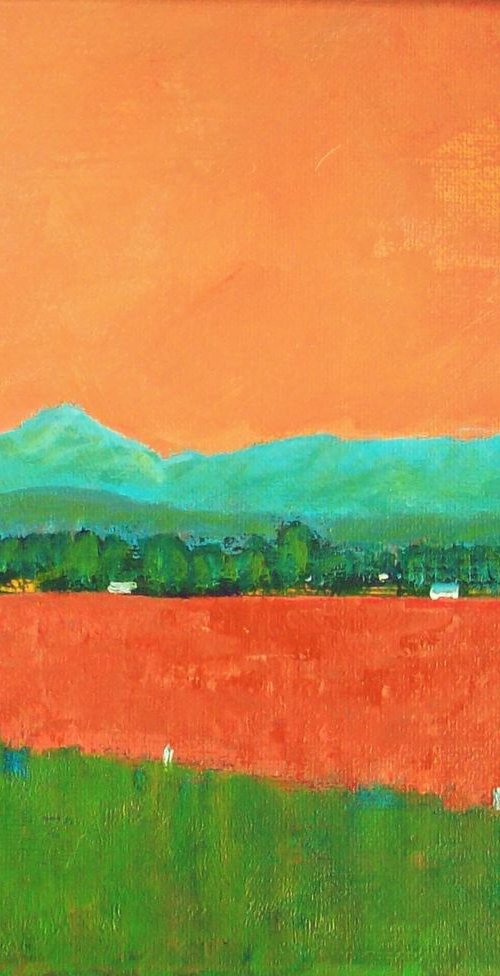 Autumn Evening, Fraser Valley by David J Edwards