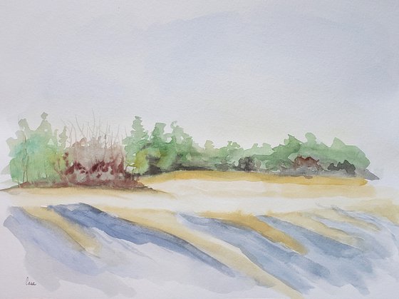 "Long Shadows" - Landscape - Watercolor