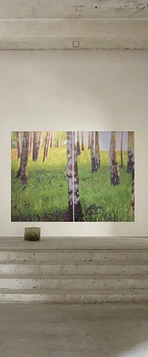 Birches by Ida Harm