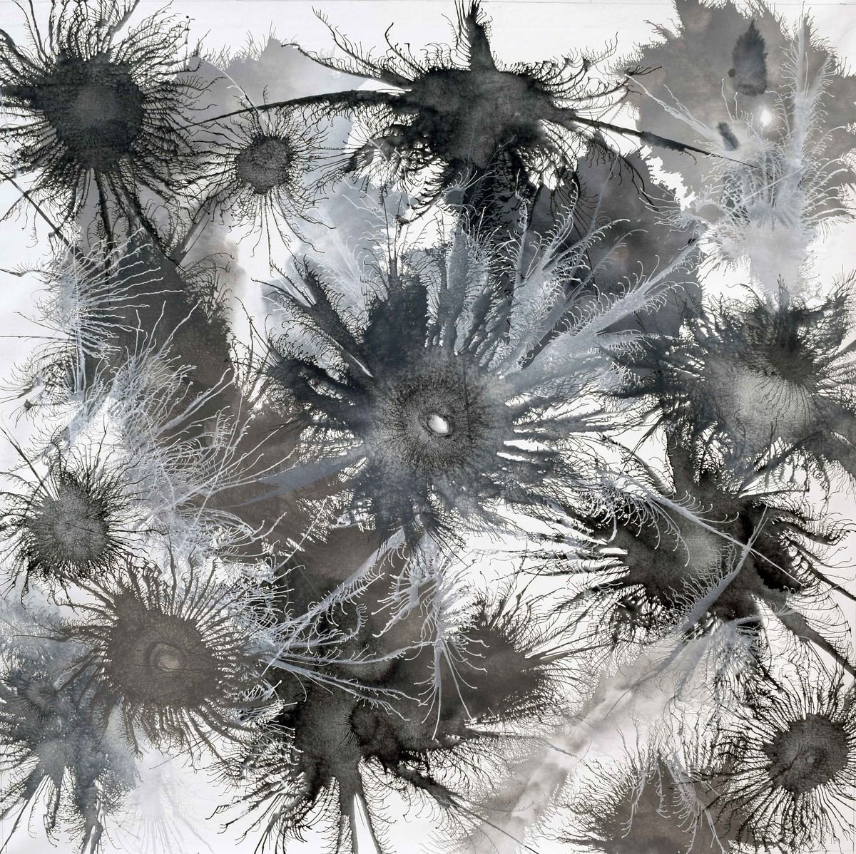 Abstract Acrylic Painting By Sumit Mehndiratta, 58 X 58", Exploflora Series No. 12, Original Artwork