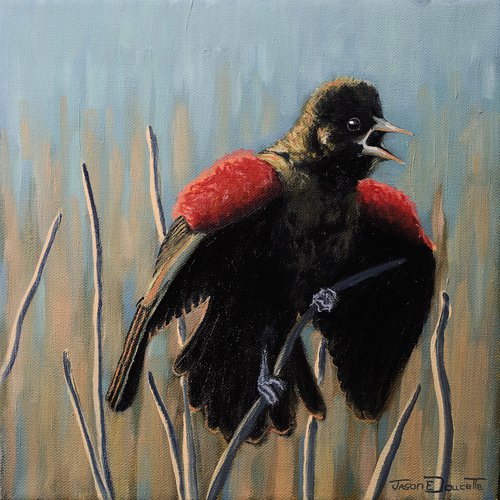 Marsh Poppies - Red Winged Black Bird oil painting, bird painting by Jason Edward Doucette