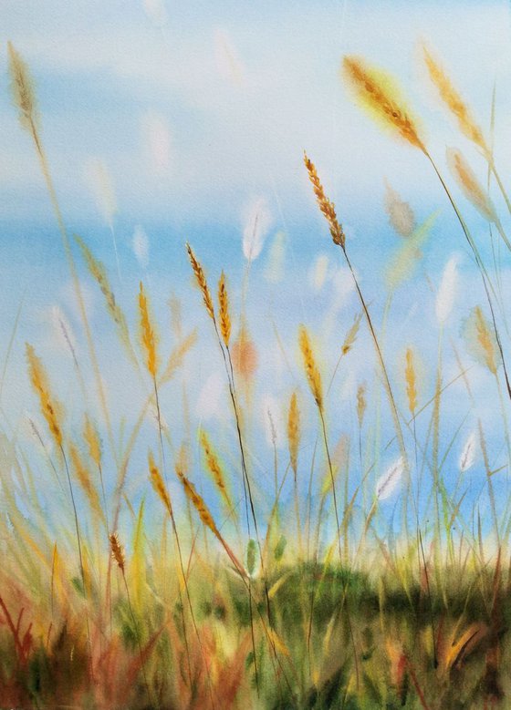 Dry Grass - autumn grass - indian summer