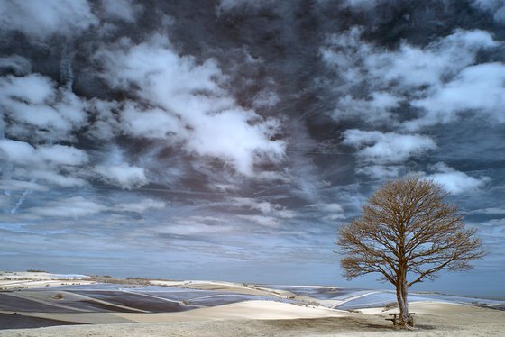 View From Cissbury Ring