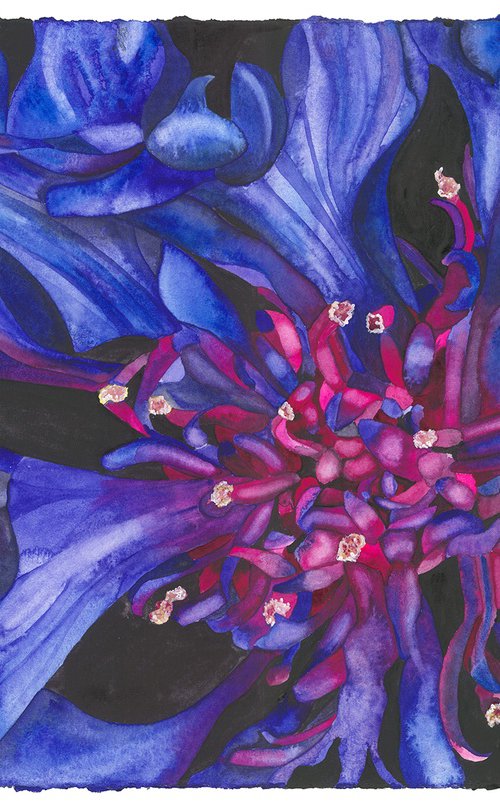 Ocean Eyes by Mary Lyn Gough