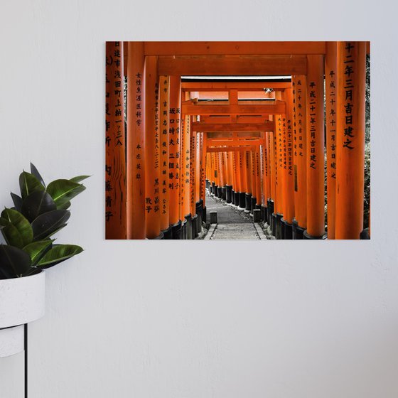 JAPAN TORII - XLarge Edition