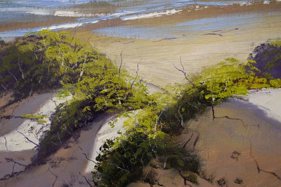 Sandy Dunes to the Beach