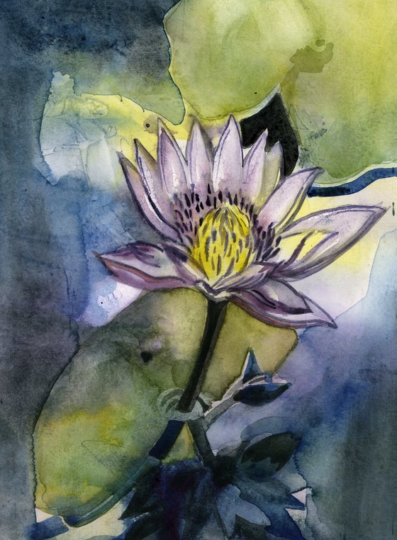 waterlily with blues